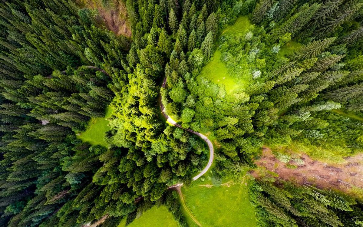 Resort Biela Skala - Chata Chopok Jasna Juh Sebesér Kültér fotó